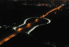 Цветы Башкирии