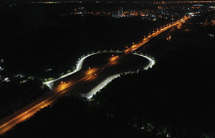 Цветы Башкирии