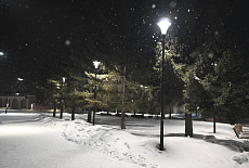 Парк у Пруда г. Благовещенск ул.Советская